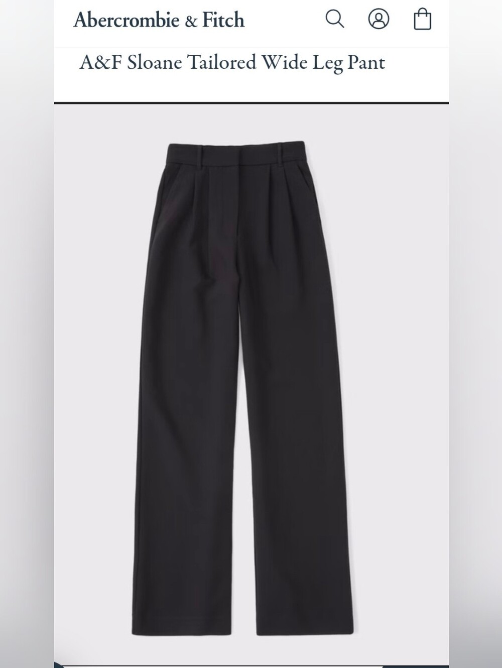 Abercrombie & Fitch Navy Blue Pleated Wide-Leg Dress Pants-WOMENS